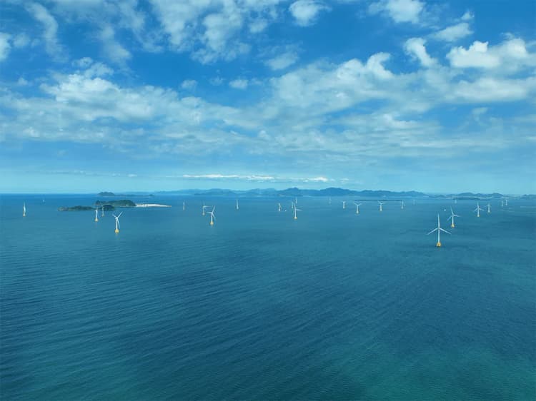 自然エネ財団、洋上風力の現状報告 秋田・千葉3区域の1.7GWは再公募