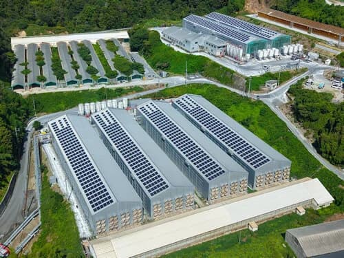 軽量シリコン太陽電池を接着施工、鶏舎など耐荷重制約ある既存屋根に導入