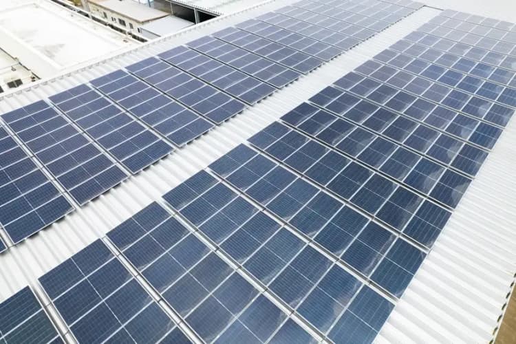 太陽光由来の再エネで食品容器を製造・供給、工場電力34%を転換 天満紙器