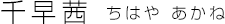 千早茜 ちはやあかね